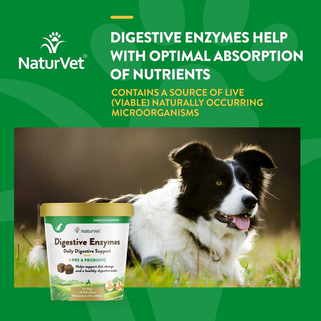 NaturVet Digestive Enzymes for Dogs & Cats Z678