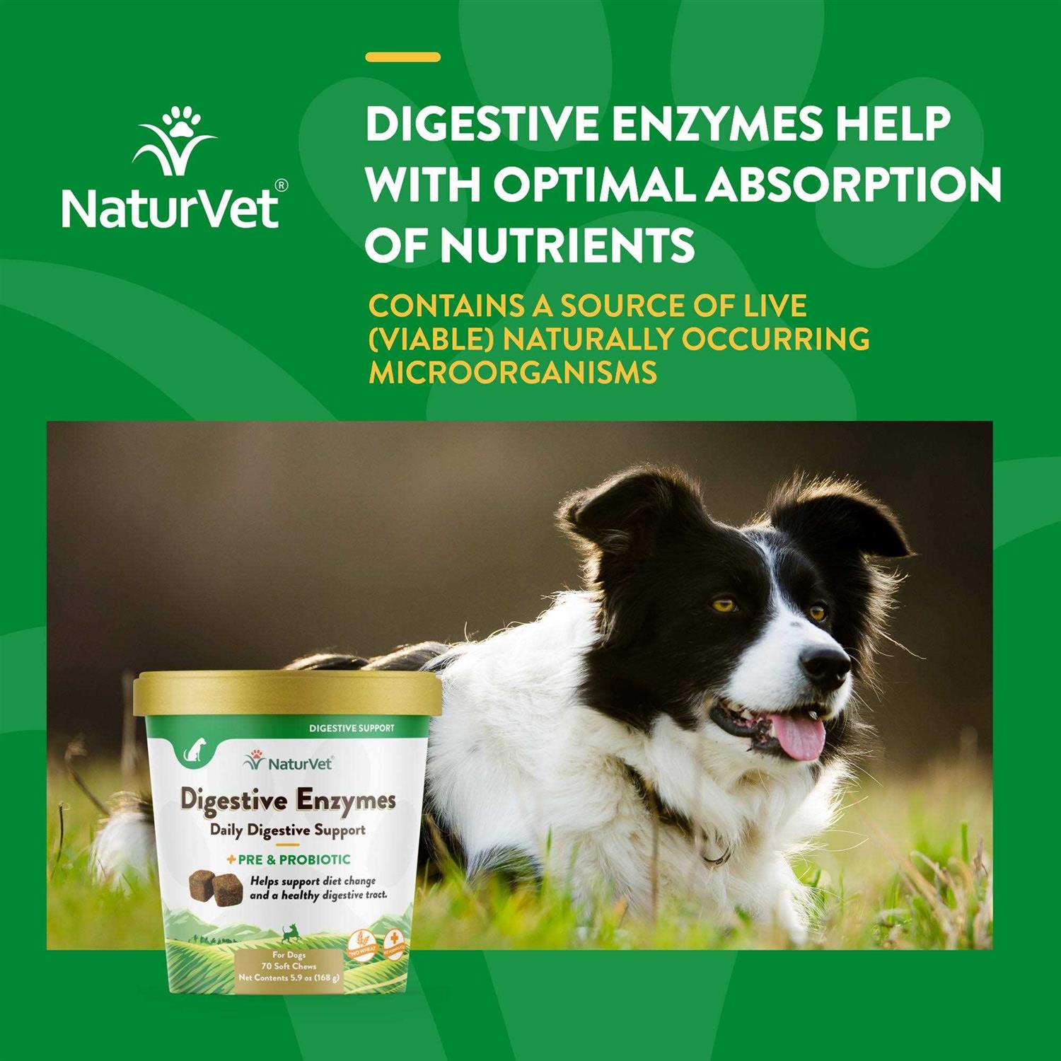 NaturVet Digestive Enzymes for Dogs & Cats Z678