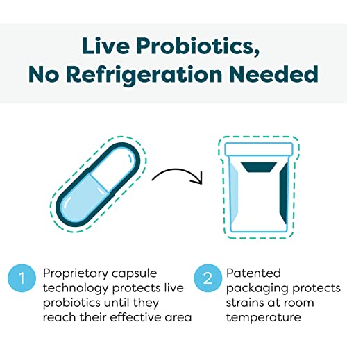 Klaire Labs Ther-Biotic Synbiotic Probiotic & Prebiotic - 60 Capsules X13317