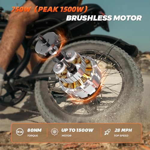 K6 Electric Bike for Adults, 20 x 4 Inch Fat Tire, 750W Motor, 48V Detachable Battery M879