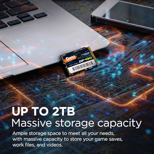 DATO DP430 1TB M.2 2230 PCIe Gen4x4 NVMe SSD Z438