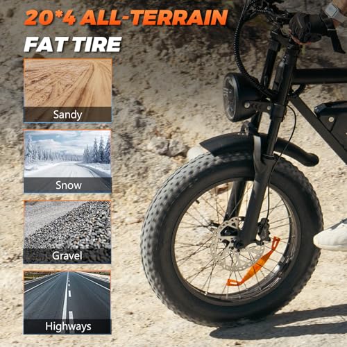 K6 Electric Bike for Adults, 20 x 4 Inch Fat Tire, 750W Motor, 48V Detachable Battery M879