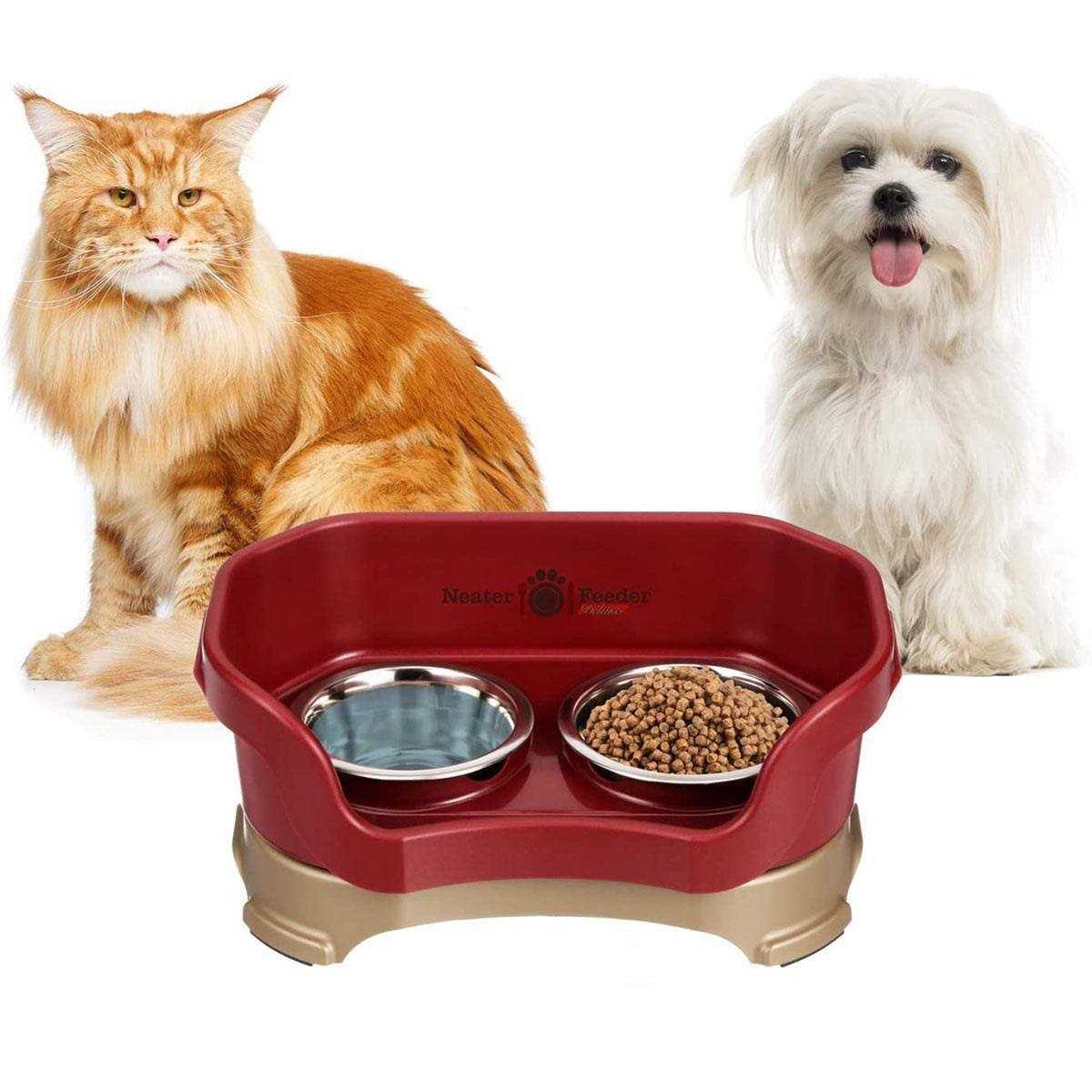 Neater Feeder Deluxe Dog Pet Supplies B5750