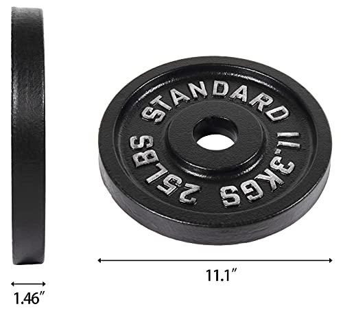 Olympic Cast Iron Weight Plates for Strength Training, Multiple Sizes S1890