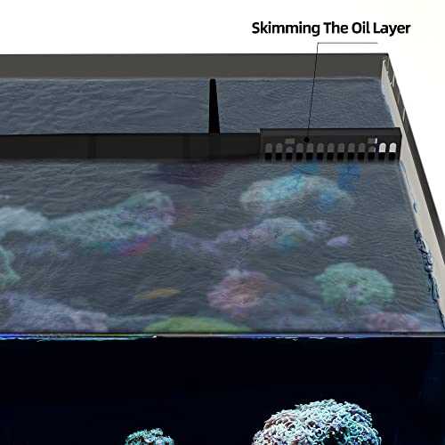 Landen 60P 26.23 Gallon Ultra Clear Rimless Low Iron Aquarium Tank with Rear Filtration Chamber M2475