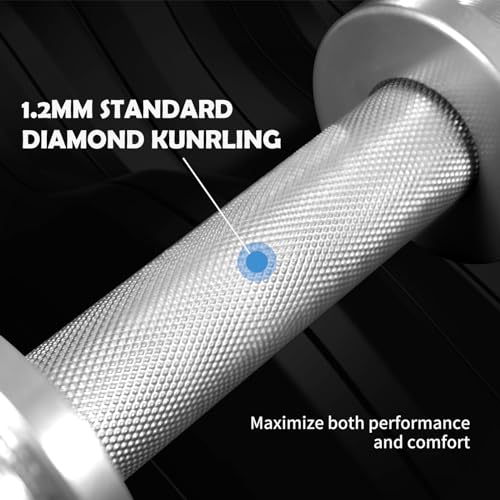 Olympic Dumbbell Handle 16" for 2-Inch Weight Plates, 2 Spring Collars Included A1556