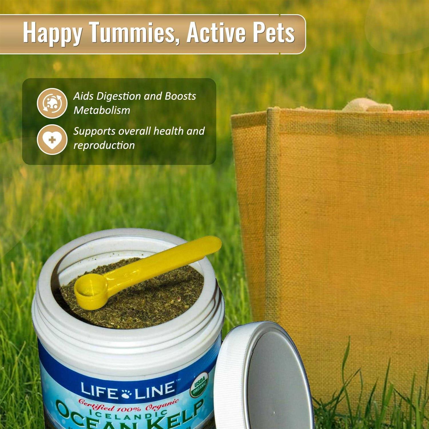 Life Line Ocean Kelp Dog & Cat Supplement S47444