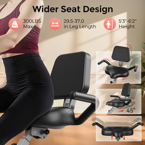 Pleny Folding Exercise Bike, 5-in-1 Stationary Bike for Home Gym L299