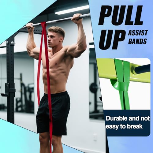 LEEKEY Resistance Bands with Handles and Door Anchor for Home Workouts O73971