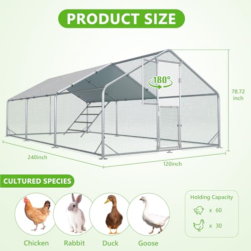 Large Chicken Coop Metal Walk-in Pen with Anti-UV Cover M6976
