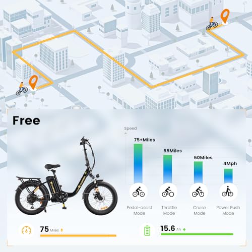 CycFree Electric Bike for Adults, 1000W Peak Motor, 48V 15.6Ah Removable Battery, 20" Fat Tire Step-Thru E21109