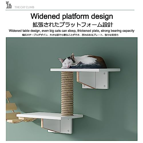 Cat Wall Furniture Set Solid Wood Cat Shelves with Perches S688