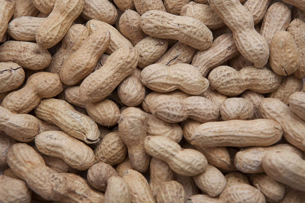 Wild Bird Food in-Shell Peanuts 15 lbs I3378