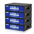 DC HOUSE 48V 100Ah (2Pack 48V 50AH) LiFePO4 Golf Cart Battery 2560Wh, Sturdy Metal Case,Suitable for Club Car, EZGO Golf Carts, Lithium Battery for RV, Trolling Motor, Off-Grid Solar Panel System