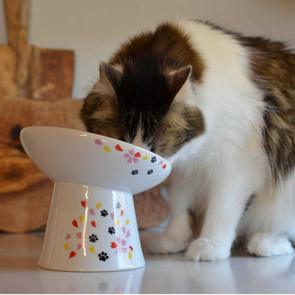 Necoichi Extra Wide Raised Cat Food Bowl S51296