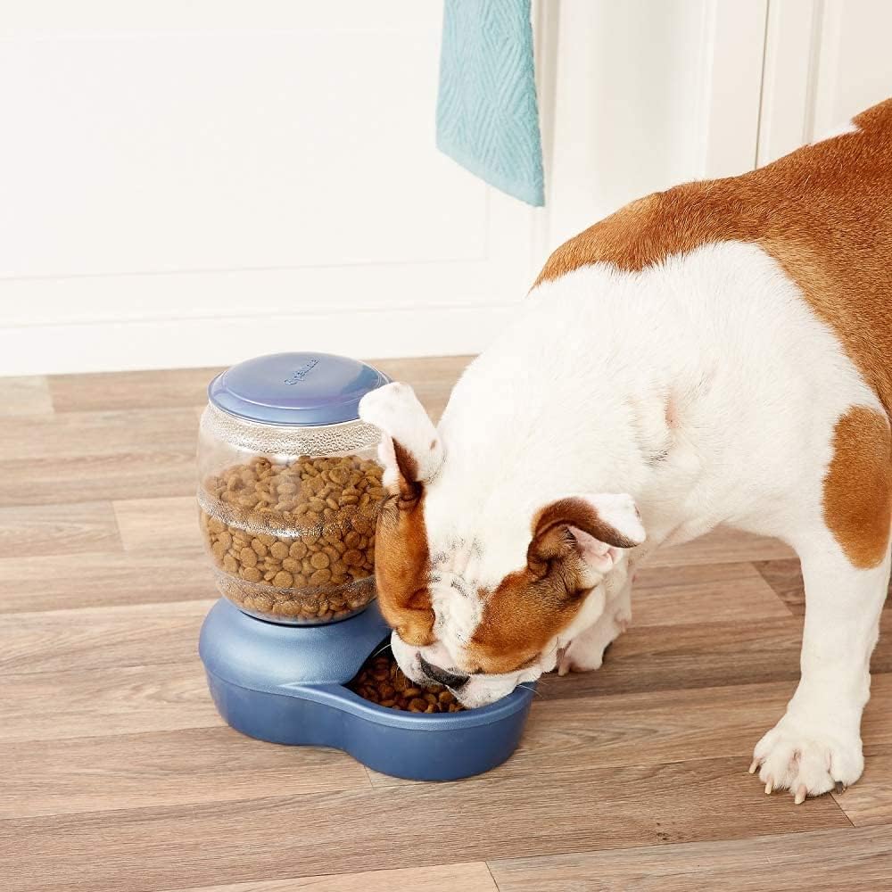 Petmate Replendish Automatic Cat and Dog Feeder, 2 LB E1217