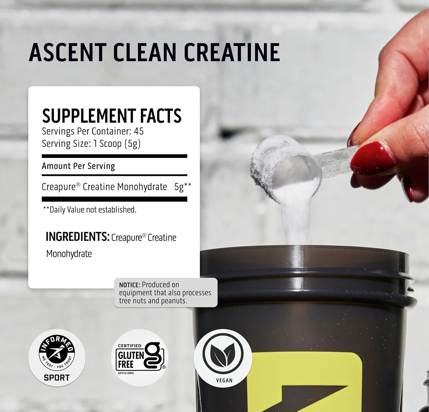 Ascent Whey Protein Powder Chocolate Peanut Butter 2 lb & Creatine Monohydrate Unflavored 45 Servings M84265