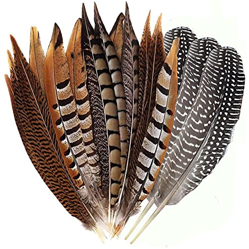 Flying Feathers Natural Pheasant Feathers 4 Style 15-20cm 12pcs Natural Feathers for DIY Craft Home Party Decorations FF03…