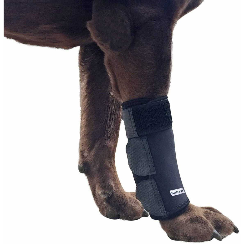 Labra Co. Dog Front Leg Compression Brace Wrap Sleeve P6937