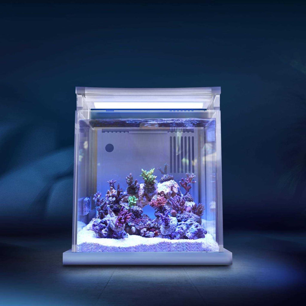 MagTool Desktop Mini Acrylic 0.95gal Reef Aquarium with LED Light F350