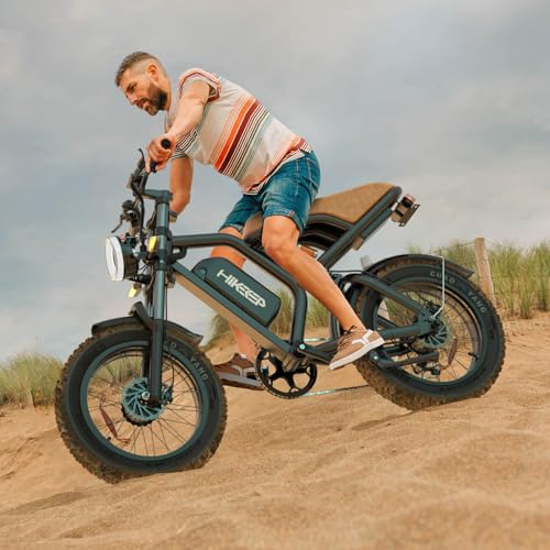 K6 Electric Bike for Adults, 20 x 4 Inch Fat Tire, 750W Motor, 48V Detachable Battery M879