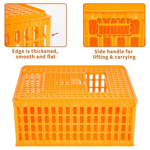 Heavy Duty Plastic Poultry Carrier Crate Transport Cage M402712