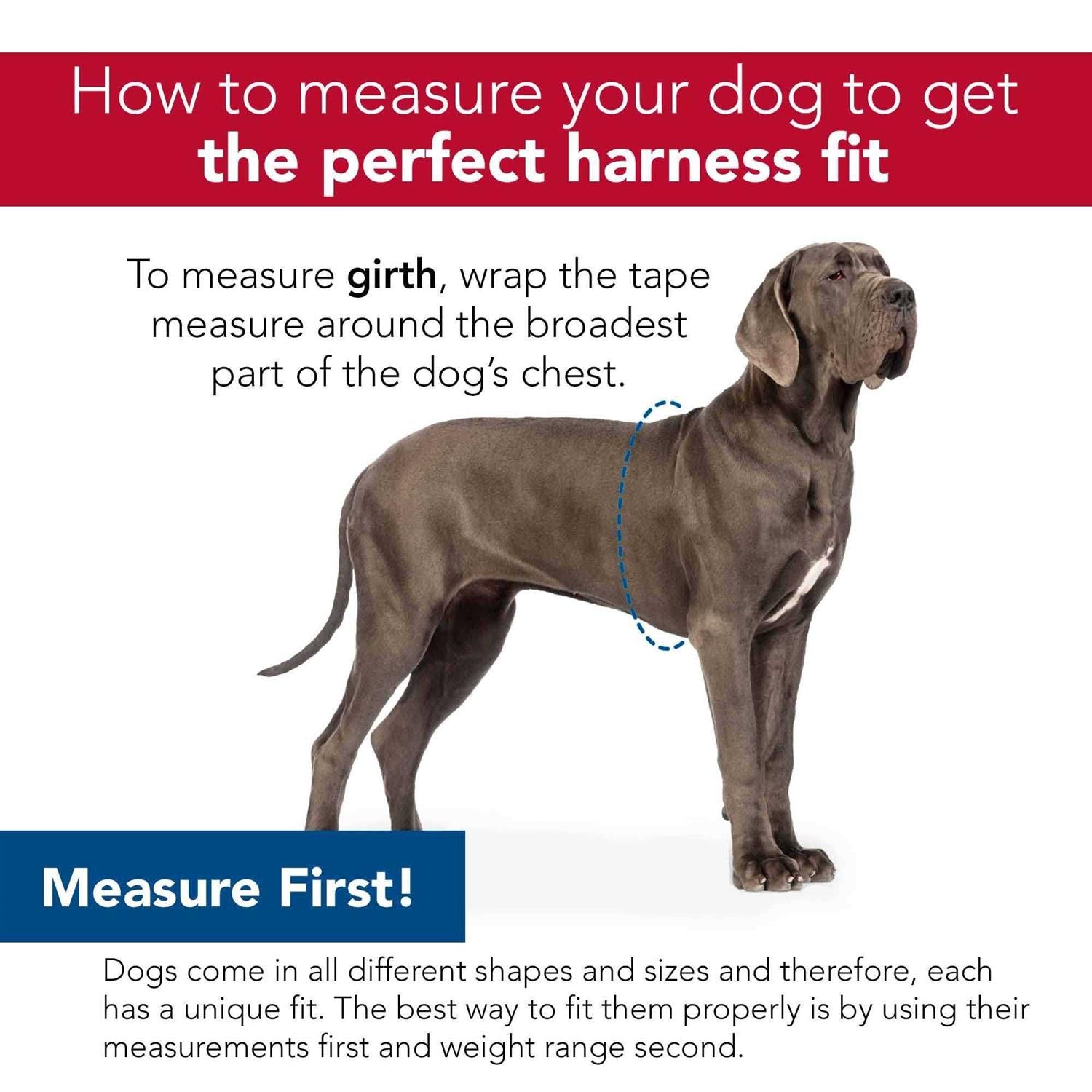 Lil' Pals Canvas Dog Harness H314