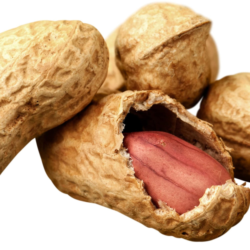 Amish Eco-Farm Bulk Raw Peanuts in Shell, Virginia Grown by Hamptons Farms, 25 lb Box L29510