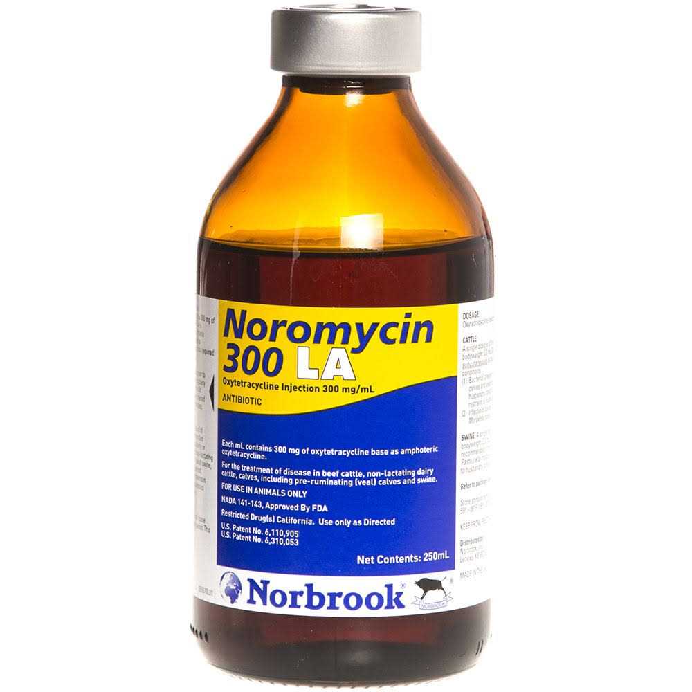 Norbrook Noromycin 300 LA - Pet Supplies online store