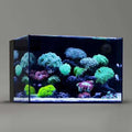 Landen 60P 26.23 Gallon Ultra Clear All Glass Rimless Low Iron Aquarium Tank with Rear Filtration Chamber for Salt and Fresh (Return Pump Included) - Pet Supplies online store