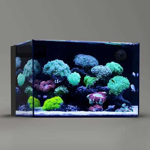 Landen 60P 26.23 Gallon Ultra Clear All Glass Rimless Low Iron Aquarium Tank with Rear Filtration Chamber for Salt and Fresh (Return Pump Included) - Pet Supplies online store