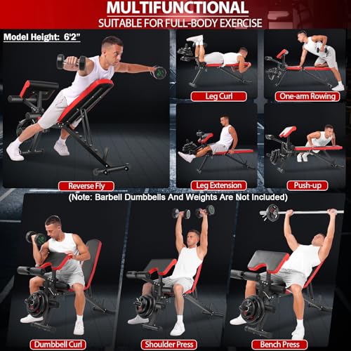 OPPSDECOR Adjustable Weight Bench with Leg Extension and Preacher Curl S467811
