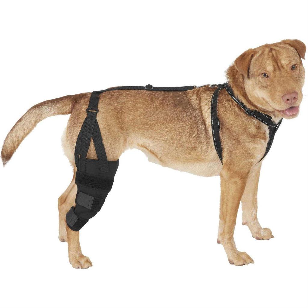 Labra Dog Canine K9 Knee Stifle Brace Wrap Metal Hinged Flexible Support Treat ACL CCL Luxating Patella Cruciate Ligament Sprain Strain Tear Injuries - Pet Supplies online store