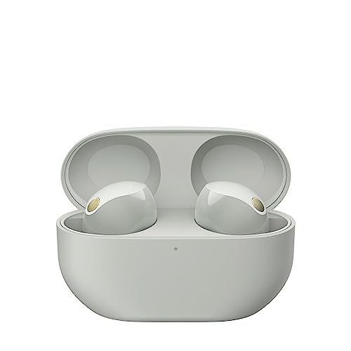 Sony WF-1000XM5 Truly Wireless Noise Canceling Earbuds, Silver P199206