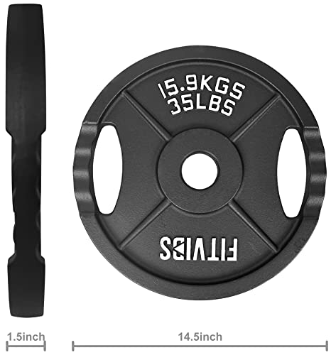 Olympic Cast Iron Weight Plates for Strength Training, Multiple Sizes S1890