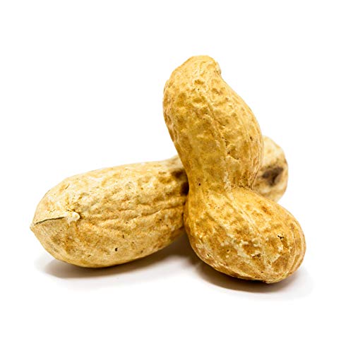 Sky Premium USA Grown Raw Peanuts in Shell for Squirrels, 2.5lb M37280