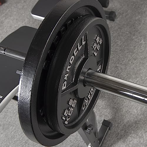 Olympic Cast Iron Weight Plates for Strength Training, Multiple Sizes S1890