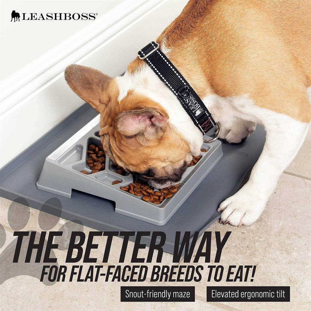 Leashboss Flat Face Feeder Tilted Slow Feed Bowl for Dogs & Cats X555