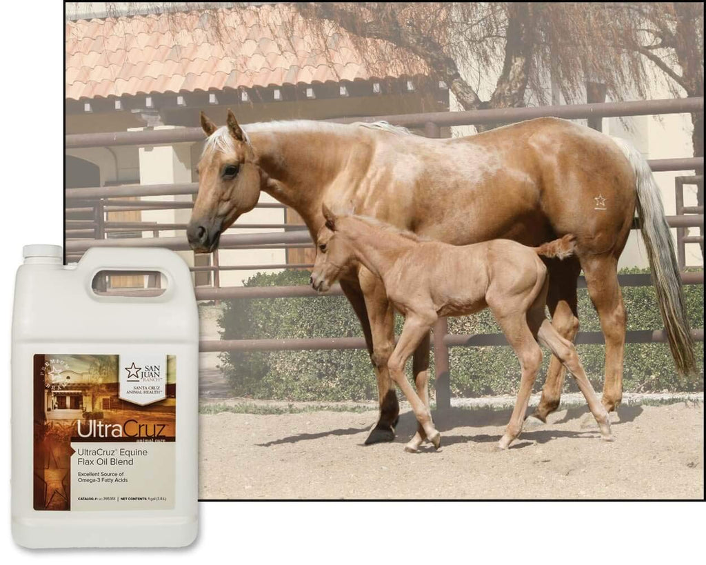 UltraCruz Flax Oil Blend Supplement for Horses and Livestock, 4 Gallon E550036