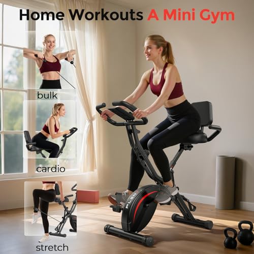 Pleny Folding Exercise Bike, 5-in-1 Stationary Bike for Home Gym L299