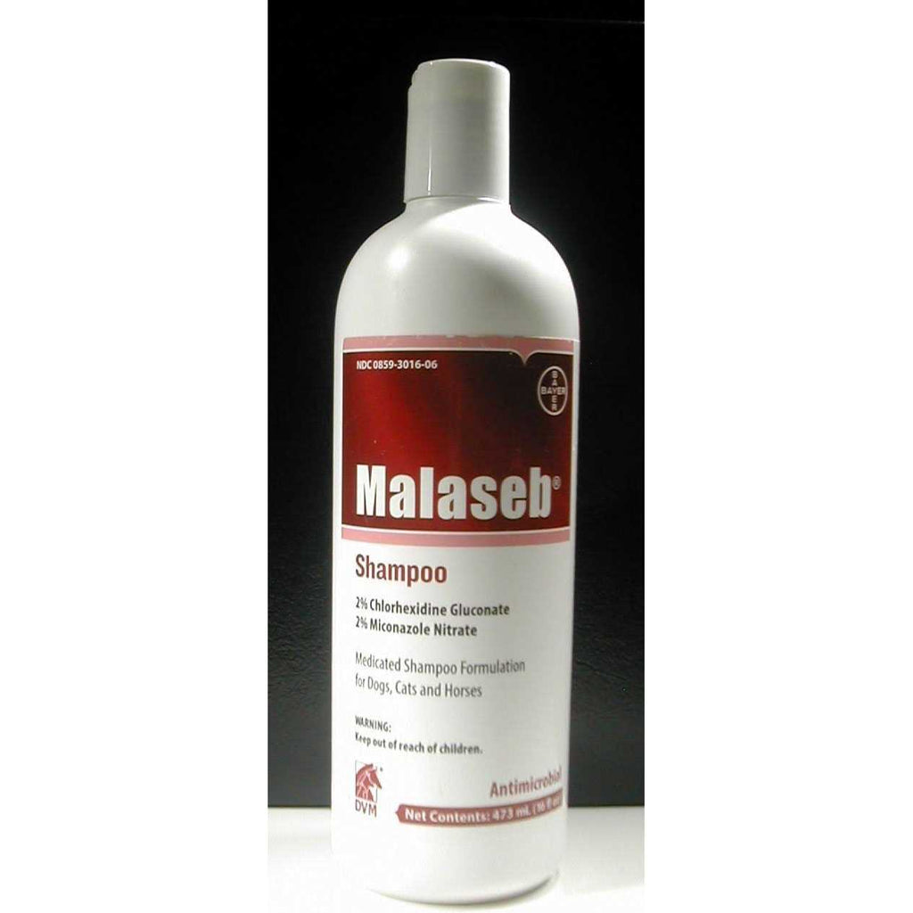 Malaseb Shampoo 8 oz for Dogs and Cats X47366