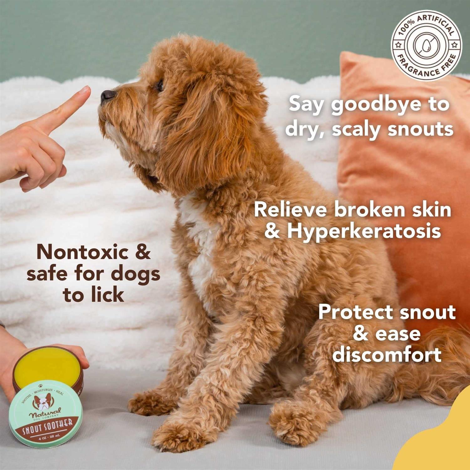 Natural Dog Company Snout Soother for Dogs S6169