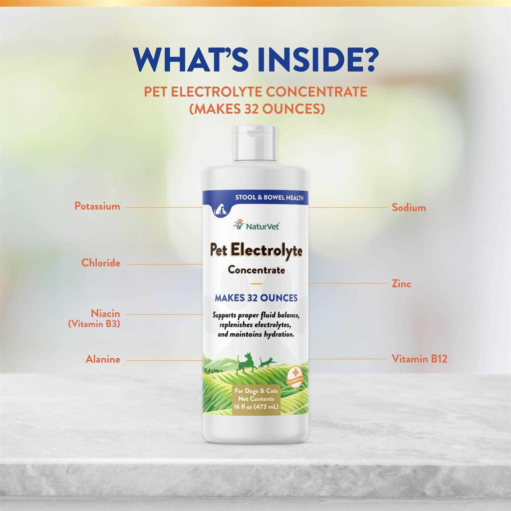 NaturVet Pet Electrolyte Concentrate 16 oz for Dogs & Cats I445167