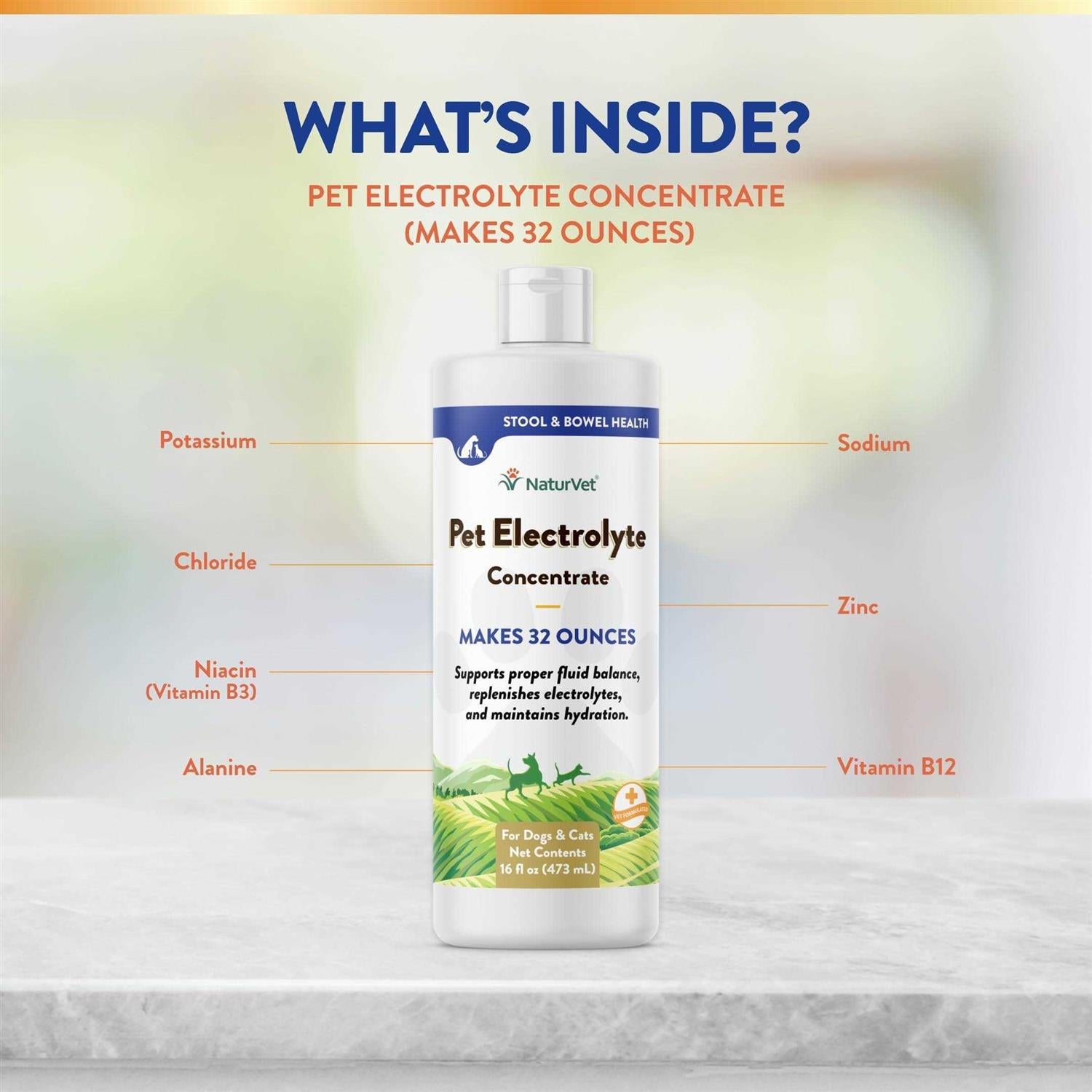 NaturVet Pet Electrolyte Concentrate 16 oz for Dogs & Cats I445167