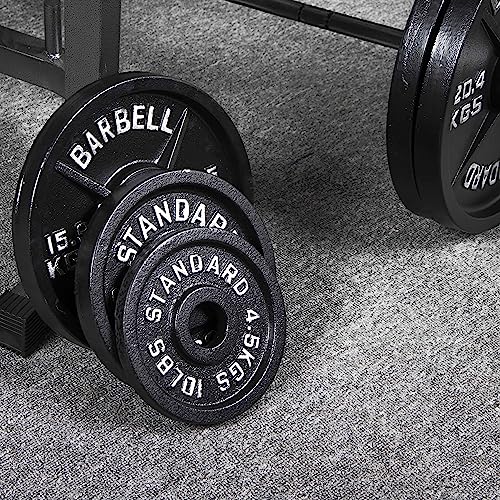 Olympic Cast Iron Weight Plates for Strength Training, Multiple Sizes S1890