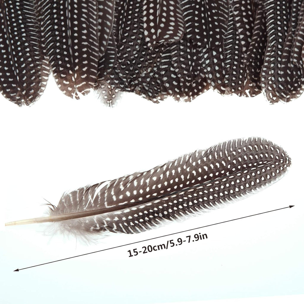 Dxhycc 50 Pcs Natural Spotted Pheasant Feathers for DIY Crafts S619667