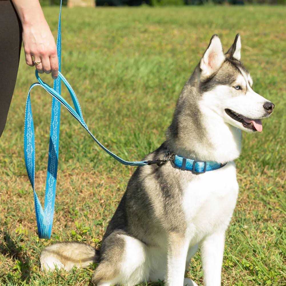 Leashboss Patterned Reflective Chain Martingale Dog Collar D6781