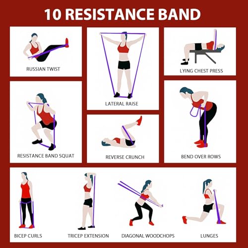 LEEKEY Resistance Bands with Handles and Door Anchor for Home Workouts O73971