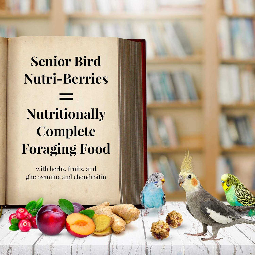 Lafeber Senior Bird Nutri Berries Parrot Food M61329
