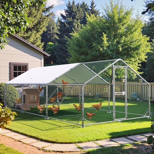 Large Chicken Coop Metal Walk-in Pen with Anti-UV Cover M6976